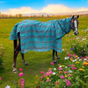 Horse Rugs and Accessories