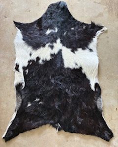 Goat hides small