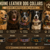 Leather dog collars