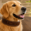 Leather dog collars