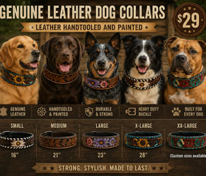 Leather dog collars
