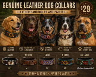 Leather dog collars
