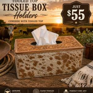 Tissue box holder