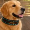 Leather dog collars