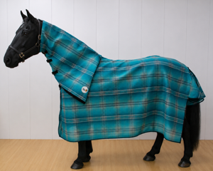 Aquatic mesh horse combo