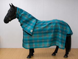 Aquatic mesh horse combo