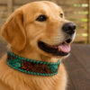 Leather dog collars