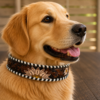 Leather dog collars