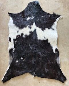 Goat hides small