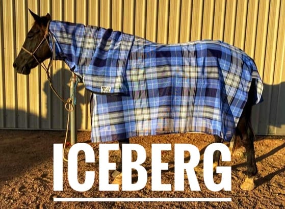 Iceberg mesh combo