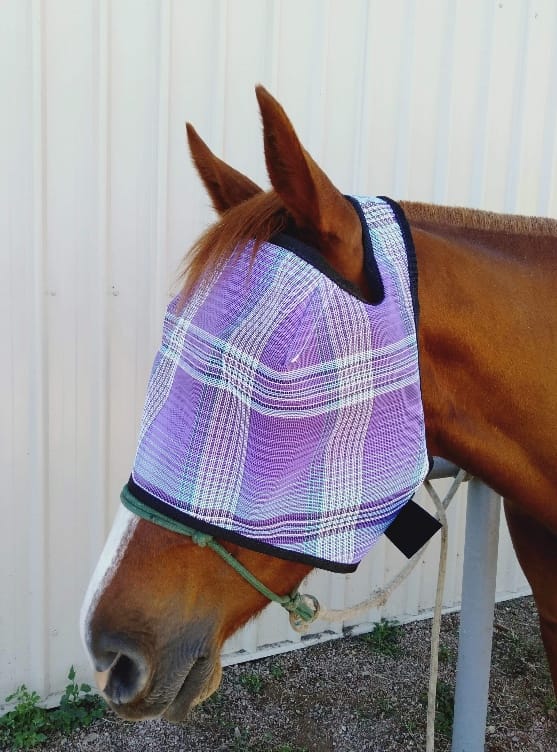 Fly Masks
